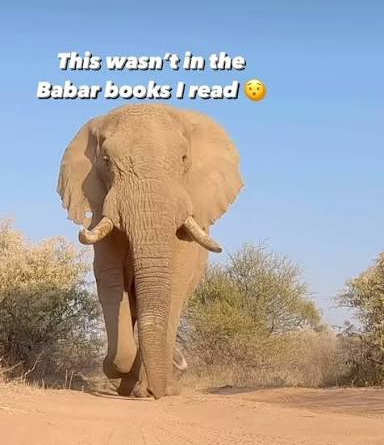 babar elephant - this wasnt in the Babar books I read meme
